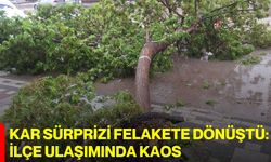Kar Sürprizi Felakete Dönüştü: İlçe Ulaşımında Kaos