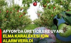Afyon’da Üreticilere Uyarı: Elma Karalekesi İçin Alarm Verildi