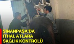 Sinanpaşa’da ithal atlara sağlık kontrolü