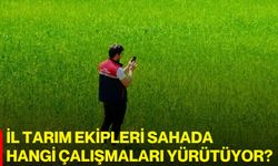 İl Tarım Ekipleri Sahada Hangi Çalışmaları Yürütüyor?