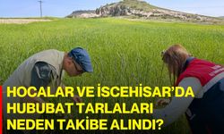 Hocalar ve İscehisar’da Hububat Tarlaları Neden Takibe Alındı?