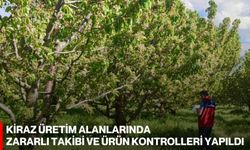 Kiraz Üretim Alanlarında Zararlı Takibi ve Ürün Kontrolleri Yapıldı