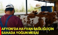 Afyon’da hayvan sağlığı için sahada yoğun mesai
