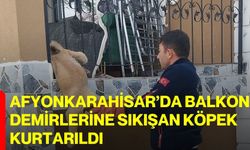 Afyonkarahisar’da Balkon Demirlerine Sıkışan Köpek Kurtarıldı