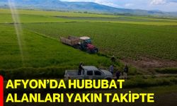Afyon’da hububat alanları yakın takipte