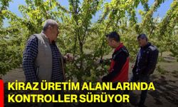 Kiraz üretim alanlarında kontroller sürüyor