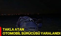 Takla atan otomobil sürücüsü yaralandı