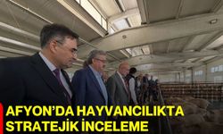 Afyon’da Hayvancılıkta Stratejik İnceleme