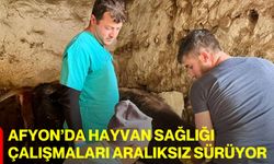 Afyon’da Hayvan Sağlığı Çalışmaları Aralıksız Sürüyor