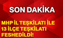 MHP il teşkilatı ile 13 ilçe teşkilatı feshedildi!