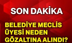 Belediye meclis üyesi neden gözaltına alındı?