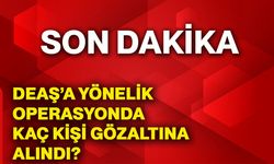 DEAŞ’a yönelik operasyonda kaç kişi gözaltına alındı?
