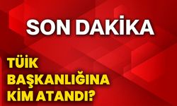 TÜİK Başkanlığına kim atandı?