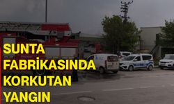 Sunta fabrikasında korkutan yangın