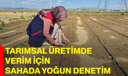 Tarımsal üretimde verim için sahada yoğun denetim