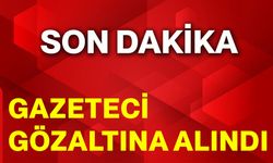 Gazeteci gözaltına  alındı
