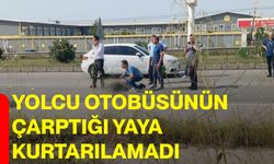 Yolcu otobüsünün çarptığı yaya kurtarılamadı
