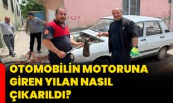 Otomobilin motoruna giren yılan nasıl çıkarıldı?