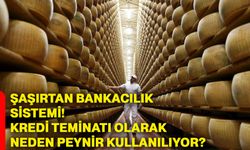 Şaşırtan bankacılık sistemi! Kredi teminatı olarak neden peynir kullanılıyor?
