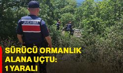 Sürücü ormanlık alana uçtu: 1 yaralı
