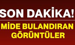 Mide bulandıran görüntüler