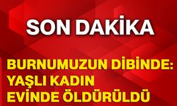 Burnumuzun dibinde: Yaşlı kadın evinde öldürüldü