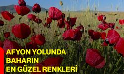Afyon yolunda baharın en güzel renkleri