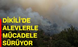 Dikili’de alevlerle mücadele sürüyor