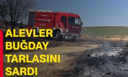 Alevler buğday tarlasını sardı
