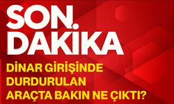 Dinar girişinde durdurulan araçta bakın ne çıktı?