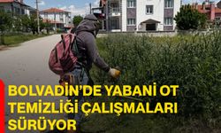 Bolvadin’de yabani ot temizliği çalışmaları sürüyor