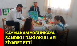 Kaymakam Yosunkaya Sandıklı’daki okulları ziyaret etti