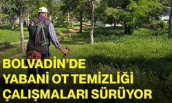 Bolvadin’de yabani ot temizliği çalışmaları sürüyor