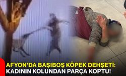 Afyon’da başıboş köpek dehşeti: Kadının kolundan parça koptu!
