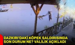 Dazkırı'daki köpek saldırısında son durum ne? Valilik açıkladı