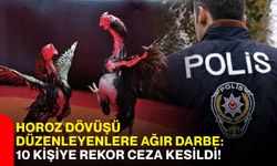 Horoz dövüşü düzenleyenlere ağır darbe: 10 kişiye rekor ceza kesildi!