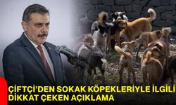 Çiftçi’den sokak köpekleriyle ilgili dikkat çeken açıklama