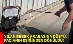 Yılan bebek arabasına düştü, facianın eşiğinden dönüldü!