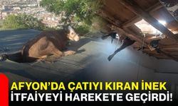 Afyon’da çatıyı kıran inek itfaiyeyi harekete geçirdi!