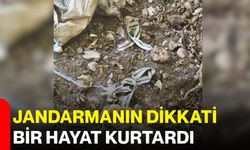 Jandarmanın dikkati bir hayat kurtardı