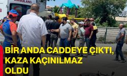 Bir anda caddeye çıktı, kaza kaçınılmaz oldu