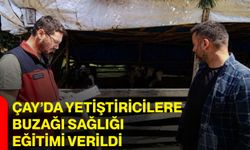 Çay’da yetiştiricilere buzağı sağlığı eğitimi verildi