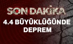 4.4 büyüklüğünde deprem