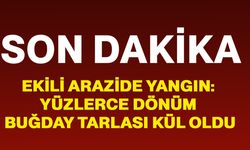Ekili arazide yangın: Yüzlerce dönüm buğday tarlası kül oldu
