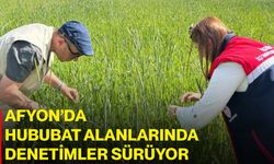 Afyon’da hububat alanlarında denetimler sürüyor