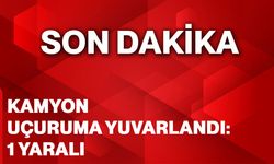 Kamyon uçuruma yuvarlandı: 1 yaralı