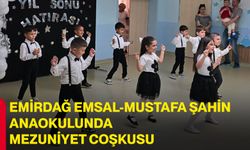 Emirdağ Emsal-Mustafa Şahin Anaokulunda mezuniyet coşkusu