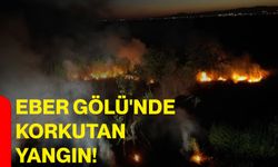 Eber Gölü'nde korkutan yangın!