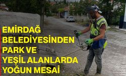 Emirdağ Belediyesinden park ve yeşil alanlarda yoğun mesai