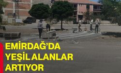Emirdağ’da yeşil alanlar artıyor